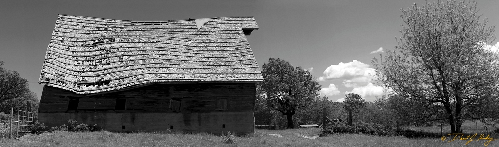 Barn 4 Panorama